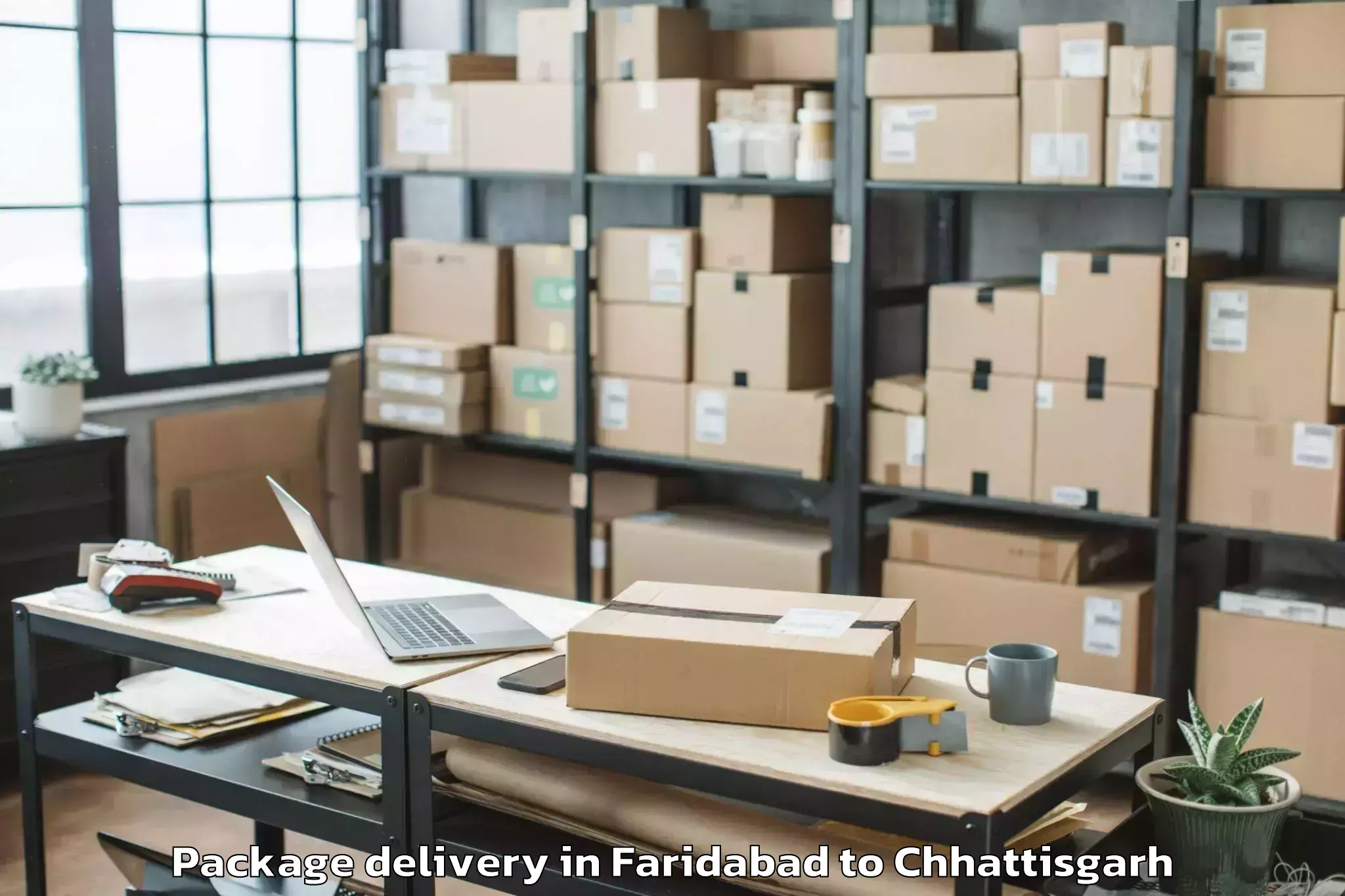 Get Faridabad to Iit Bhilai Package Delivery